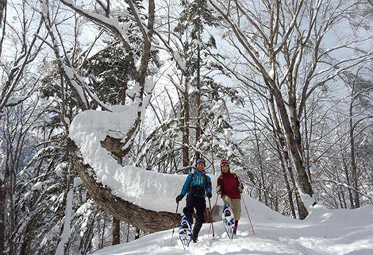 Resort Inn Chirorian Такаяма Екстериор снимка